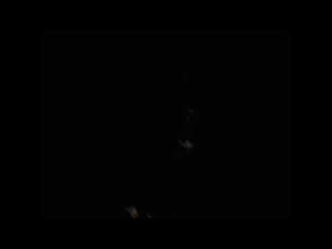 Le campane di Lodi - Chiesa Parrocchiale di S. Alberto vescovo (5). video 132