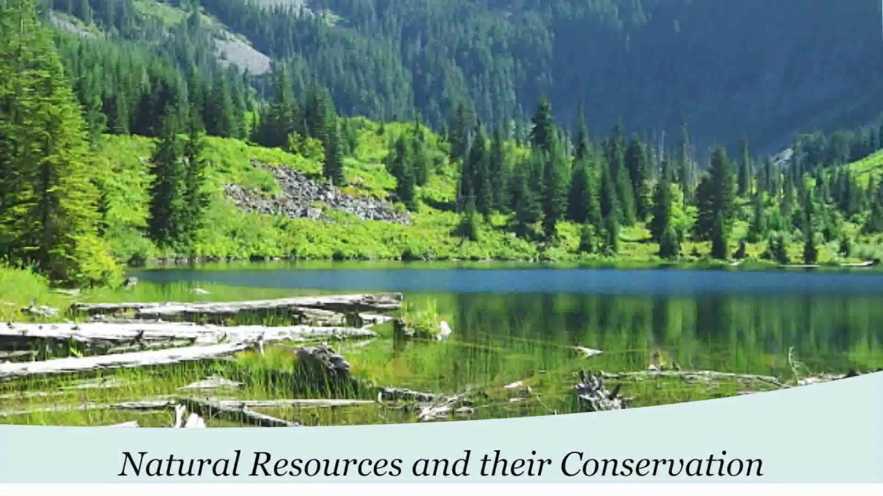 Forest Resources - Environmental Studies