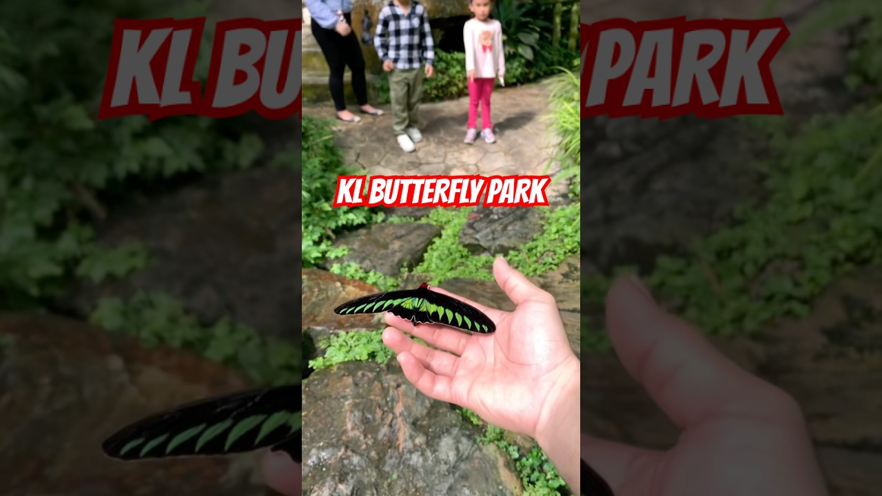 YouTube Short thumbnail