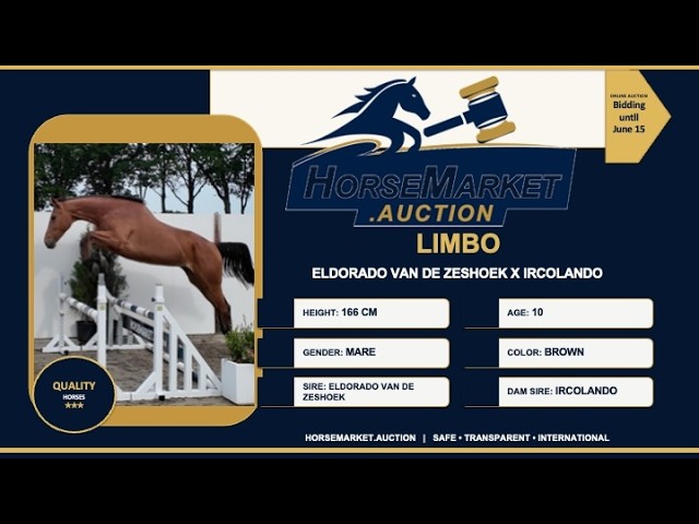 Limbo