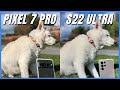 Pixel 7 Pro Vs Galaxy S22 Ultra Camera Comparison