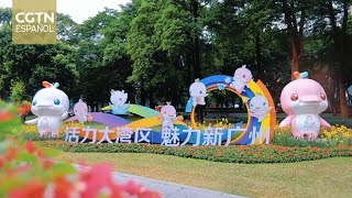 Paisajes urbanos cobran vida con el espíritu de los XV Juegos Nacionales de China