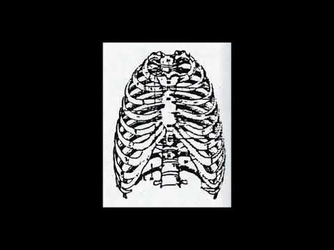 Mad Hatter (USA, WA) - Perfect Place 1990 demo