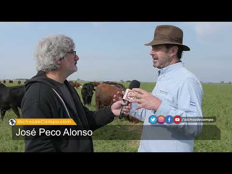 José Peco Alonso, agrónomo y productor mixto en Videla, Santa Fe, sobre ganadería
