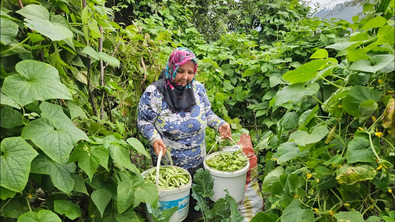 ‼️EMEĞİMİN KARŞILIĞINI KOVA KOVA TOPLUYORUM‼️