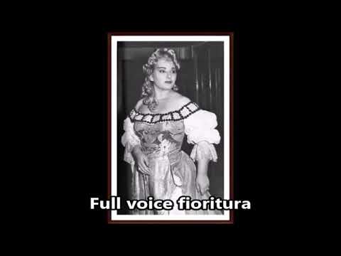 FIORITURA: small singing vs. big singing