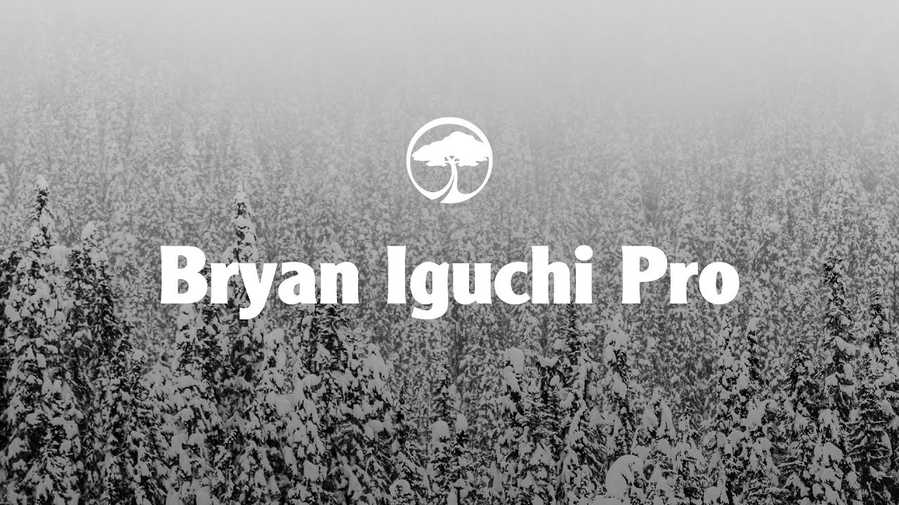 Video Arbor Bryan Iguchi Pro