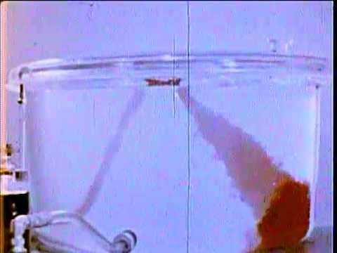 Lead Added to Gasoline 1948 Standard Oil