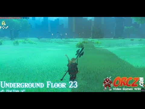 Breath of the Wild Trial of the Sword Final Trials Floor 23 Gameplay Walkthrough