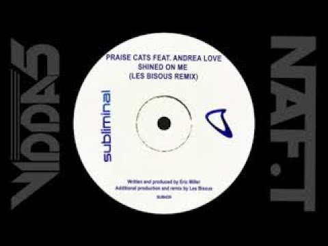 PRAISE CATS Feat ANDREA LOVE  shined on me (les bisous extended remix)