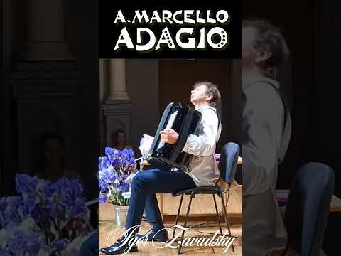 A.Marcello &ndash; Concerto in D minor for oboe & orchestra, Adagio (3/4) #marcello #adagio #accordion