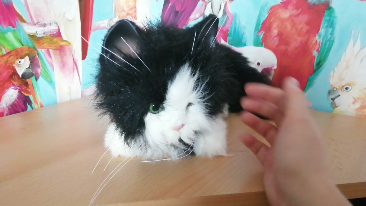 Hasbro Furreal Cat Black White purrs hisses lifts tail