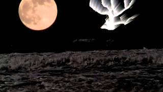 Monster Tacos Spoken Word Poetry Dark Comedy