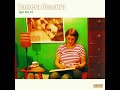 CAMERA OBSCURA - Swimming Pool