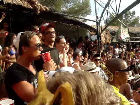 zoo project 2009 ibiza