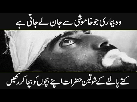 Hamid bin Ismail dog bite | How to Survive Rabies ? | Urdu cover