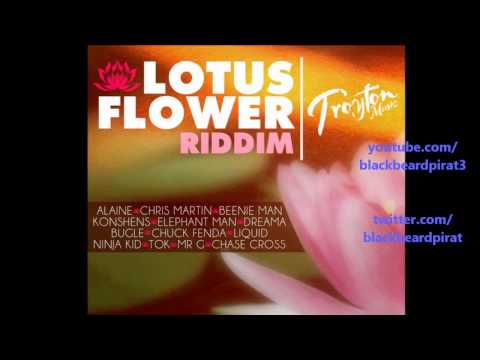Alaine - Magnet - Lotus Flower Riddim - Troyton Music - July 2012