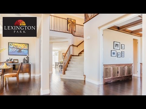 Builder Videos 1 Out of 4