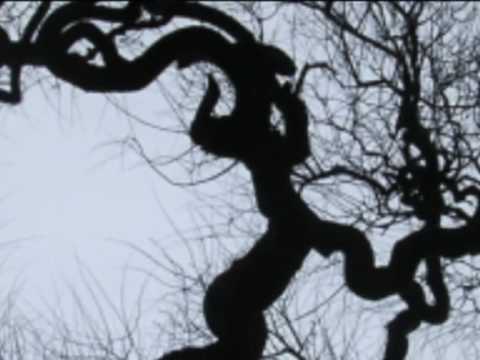 Lorenz Maierhofer, ÜBER'N SEE - alpine Pop-Ballade für Chor