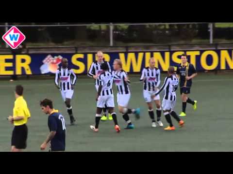 Samenvatting Haaglandia -Zwaluwen