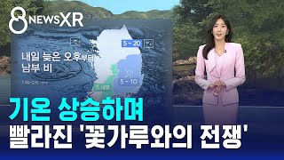 [날씨/XR] 기온 상승하며..빨라진 '꽃가루와의 전쟁' / SBS 8뉴스