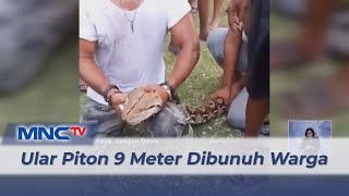 Download lagu Ular Piton 9 Meter Dibunuh Warga di Buton Tengah, Sulawesi Tenggara #LintasiNewsSiang 23/02 mp3 Download lagu Ular Piton 9 Meter Dibunuh Warga di Buton Tengah, Sulawesi Tenggara #LintasiNewsSiang 23/02 mp3