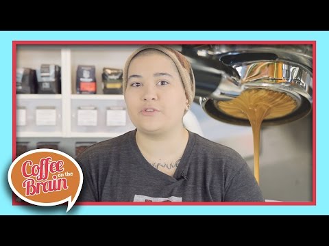 download lagu mp3 mp4 Espresso Machine With Temperature Control, download lagu Espresso Machine With Temperature Control gratis, unduh video klip Espresso Machine With Temperature Control