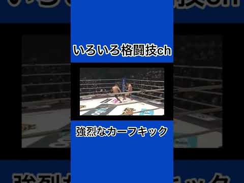 みんな大好きカーフキック【堀口恭司】#shorts #格闘技 #朝倉未来 #堀口恭司