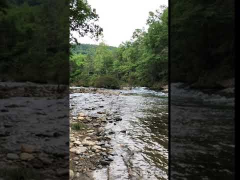 The river flowing. 