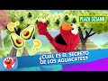 Plaza Sésamo La Aventura Del Guacamole El Musical De Elmo