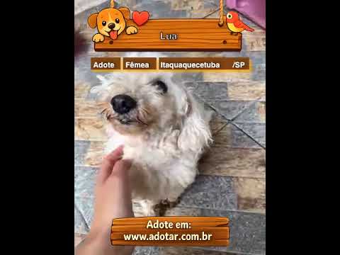 Vídeo de Lua