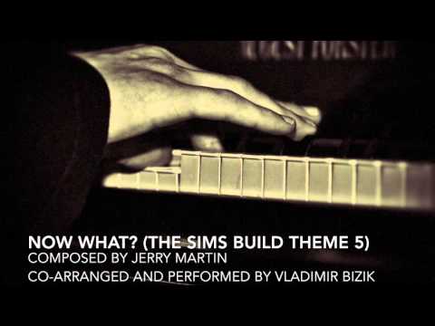 Now What? (The Sims Build Theme 5) cover by Vladimir Bizik (Live)