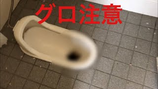【閲覧注意】とある心霊スポットの公衆トイレに行ったらヤバかった......