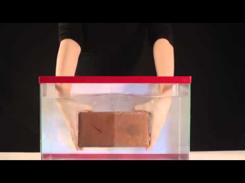 MCT Manila / Philippines