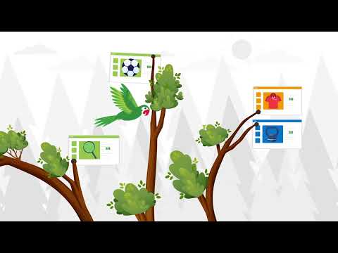 Price Parrot - Video 1