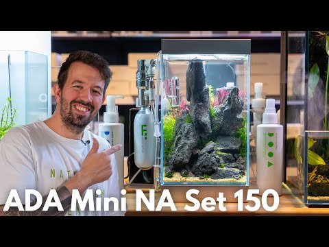 (Filmy)Małe (mini)akwarium za 500€