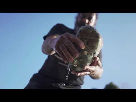 The Journey of your Taonga