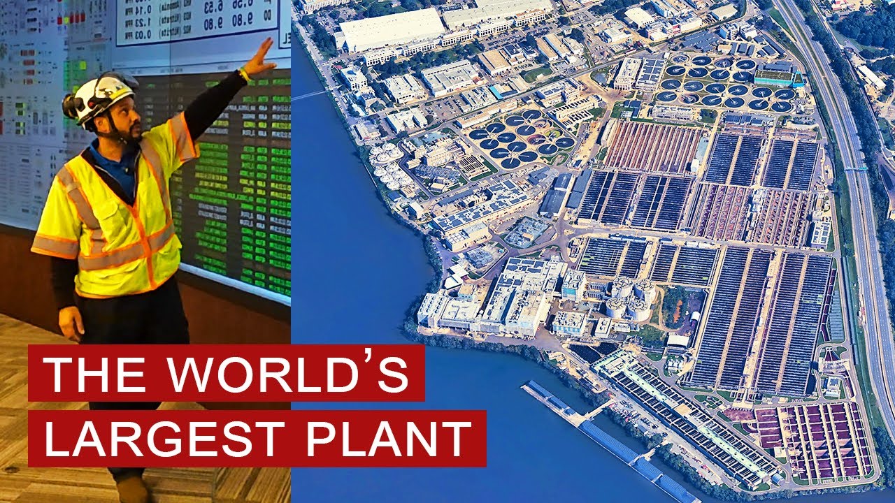 Wastewater Treatment: World's Largest 