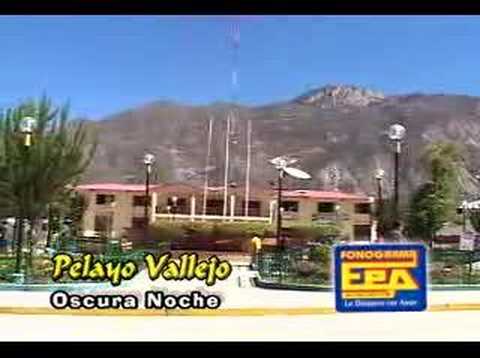 Oscura Esta La Nocha - Pelayo Vallejo