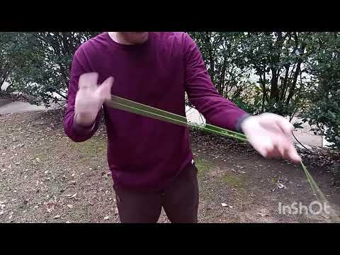 Spotlight + yoyo review 