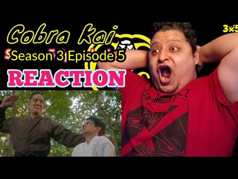 Cobra Kai |  3x5 (REACTION) "Miyagi-Do"