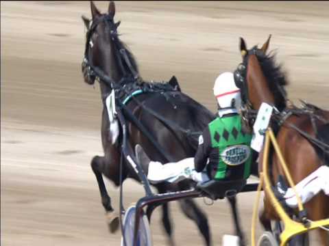 Trotto 01/05/2017 - 5ª corsa - 3ª batteria