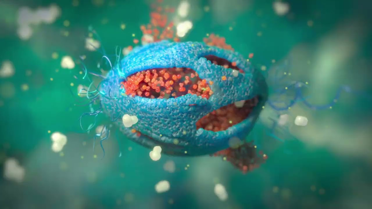 Monurol / Animación 3D / Concordia