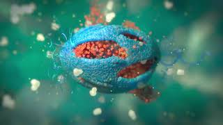 Monurol / Animación 3D / Concordia