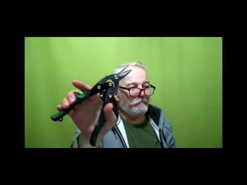 2017 02 03 PM Public Teaching in Hungarian - Nyilvános oktatás magyar nyelven