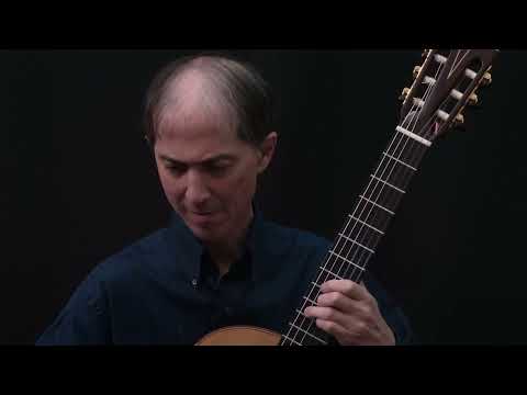 Jeroen Hilhorst Guitar No. 50 2003 - French Polish image 19