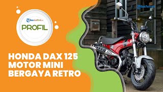 Profil Honda Dax 125, Motor Mini Bergaya Retro, Punya Desain Mirip Binatang Anjing, Intip Speknya