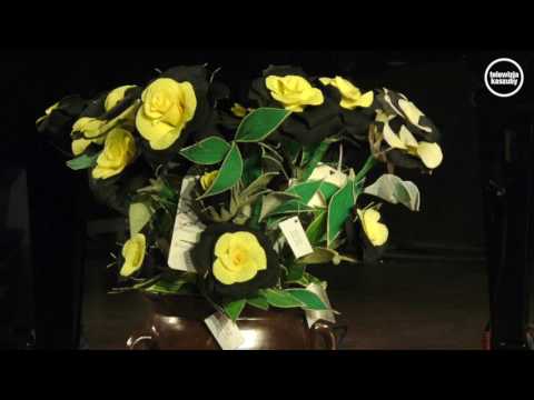 "Kamiszczi" - nowa płyta Pawła Ruszkowskiego