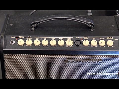 Traynor AMMINI | 65W Acoustic Guitar and Mic Amp. Demo Model with Full Warranty! image 5