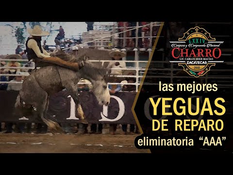 MARE RIDER AAA Qualifier - CHAMUCAS MARES - Zacatecas Congress 2018